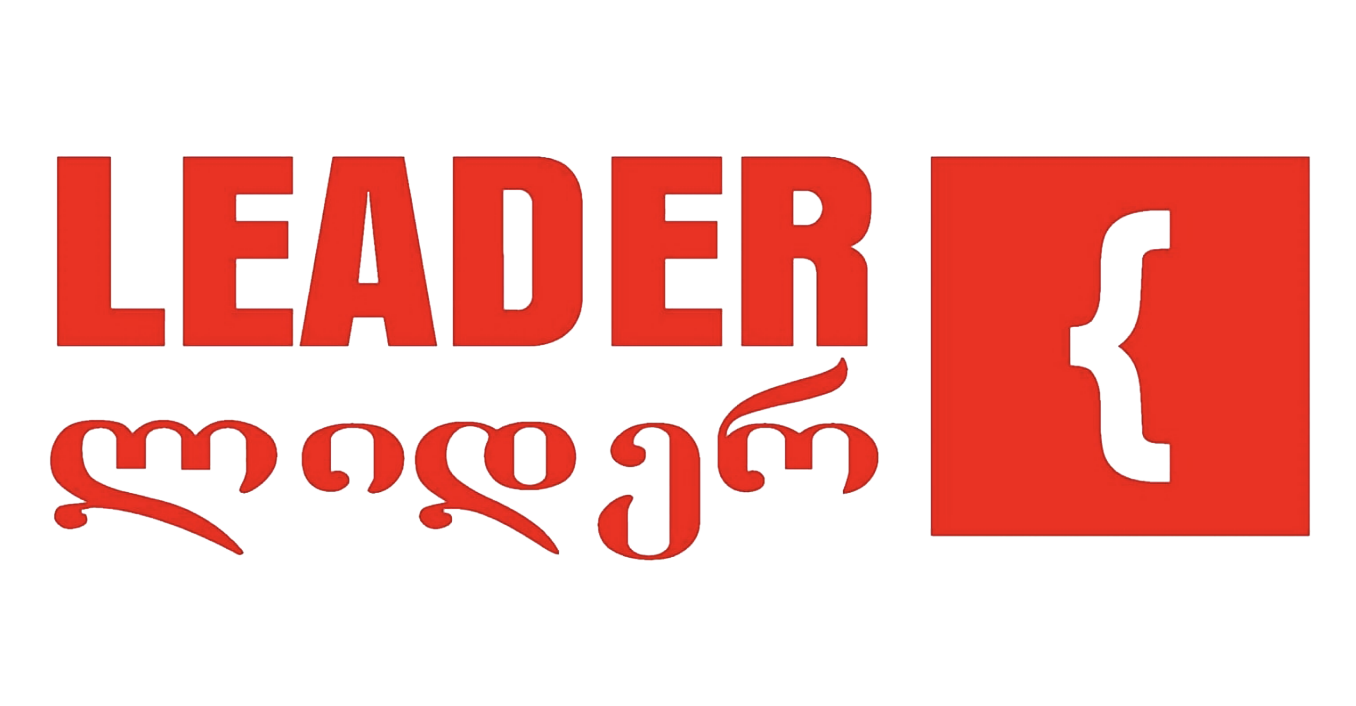 LEADER SYSTEM LLC